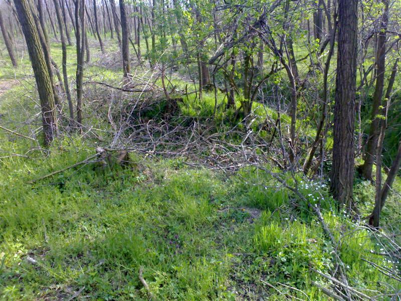 200704091771 .jpg